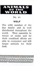 1954 Anonymous Animals of the World #44 Wolf Back