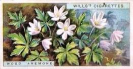 1923 Wills's Wild Flowers #1 Wood Anemone Front