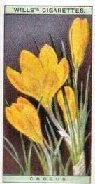 1923 Wills's Wild Flowers #8 Crocus Front