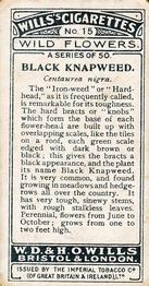 1923 Wills's Wild Flowers #15 Black Knapweed Back
