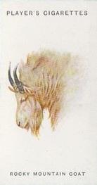 1931 Player's Wild Animals' Heads #27 Rocky Mountain Goat Front