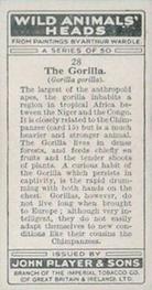 1931 Player's Wild Animals' Heads #28 Gorilla Back