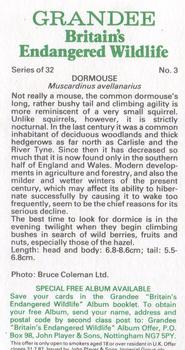 1984 Grandee Britain's Endangered Wildlife #3 Dormouse Back