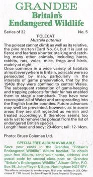 1984 Grandee Britain's Endangered Wildlife #5 Polecat Back