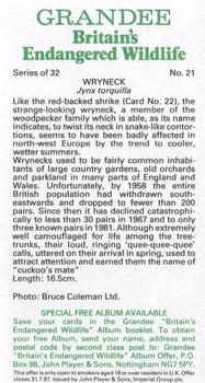 1984 Grandee Britain's Endangered Wildlife #21 Wryneck Back