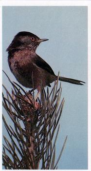 1984 Grandee Britain's Endangered Wildlife #23 Dartford Warbler Front