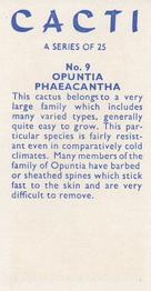 1965 Cacti #9 Opuntia phaeacantha Back