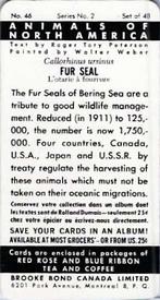 1960 Brooke Bond (Red Rose Tea) Animals of North America #46 Fur Seal Back