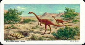 1963 Brooke Bond (Red Rose Tea) Dinosaurs #12 Oviraptor Front
