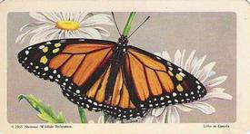 1965 Brooke Bond (Red Rose Tea) Butterflies of North America #5 Monarch Front
