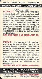 1971 Brooke Bond (Red Rose Tea) Exploring the Ocean #31 Octopus Back