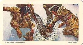 1974 Brooke Bond (Red Rose Tea) Indians of Canada #3 Algonkians Capturing Beaver Front