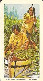1974 Brooke Bond (Red Rose Tea) Indians of Canada #8 Wild Rice Front