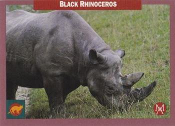 1992 Mundus Amicus Endangered Animals #3 Black Rhinoceros Front