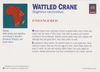 1992 Mundus Amicus Endangered Animals #9 Wattled Crane Back