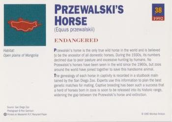 1992 Mundus Amicus Endangered Animals #38 Przewalski's Horse Back