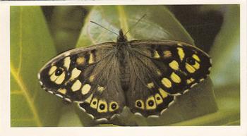 1983 Grandee British Butterflies #1 Speckled Wood Front