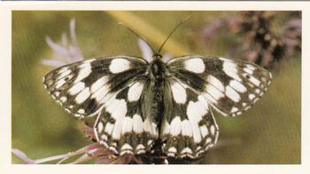 1983 Grandee British Butterflies #3 Marbled White Front