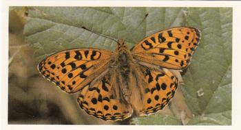 1983 Grandee British Butterflies #6 High Brown Fritillary Front