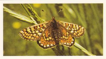 1983 Grandee British Butterflies #7 Marsh Fritillary Front