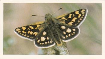 1983 Grandee British Butterflies #32 Chequered Skipper Front