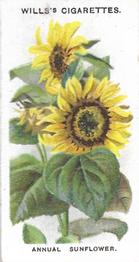 1910 Wills's Old English Garden Flowers #6 Annual Sunflower Front