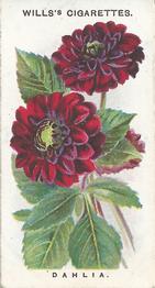 1910 Wills's Old English Garden Flowers #7 Dahlia Front