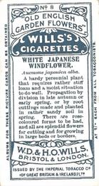 1910 Wills's Old English Garden Flowers #8 White Japanese Windflower Back