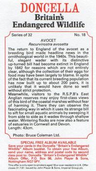 1984 Doncella Britain's Endangered Wildlife #18 Avocet Back