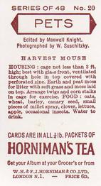 1960 Hornimans Tea Pets #20 Harvest Mouse Back