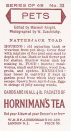 1960 Hornimans Tea Pets #33 Natterjack Toad Back