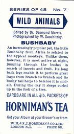 1958 Hornimans Tea Wild Animals #7 Bushbaby Back