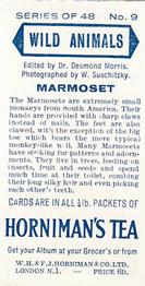 1958 Hornimans Tea Wild Animals #9 Marmoset Back