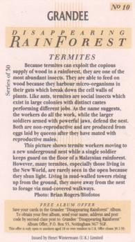 1991 Grandee Disappearing Rainforest #10 Termites Back