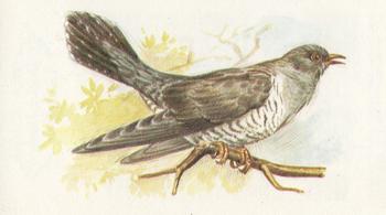 1980 Grandee British Birds Collection #21 Cuckoo Front