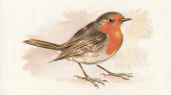 1980 Grandee British Birds Collection #29 Robin Front