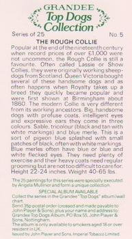 1979 Grandee Top Dogs Collection #5 The Rough Collie Back