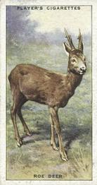 1939 Player's Animals of the Countryside #37 Roe Deer Front