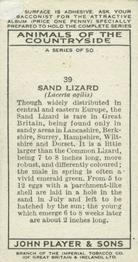 1939 Player's Animals of the Countryside #39 Sand Lizard Back