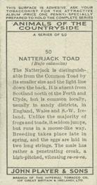 1939 Player's Animals of the Countryside #50 Natterjack Toad Back