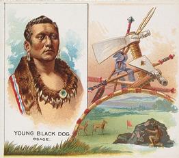 1888 Allen & Ginter The American Indian (N36) #NNO Young Black Dog Front