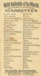 1888 Allen & Ginter Wild Animals of the World (N25) #NNO American Elk Back