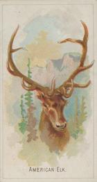 1888 Allen & Ginter Wild Animals of the World (N25) #NNO American Elk Front