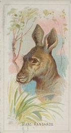 1888 Allen & Ginter Wild Animals of the World (N25) #NNO Giant Kangaroo Front
