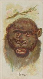 1888 Allen & Ginter Wild Animals of the World (N25) #NNO Gorilla Front