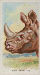 1888 Allen & Ginter Wild Animals of the World (N25) #NNO Indian Rhinoceros Front
