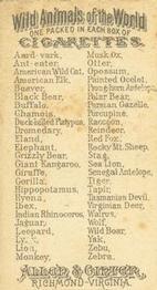 1888 Allen & Ginter Wild Animals of the World (N25) #NNO Monkey Back
