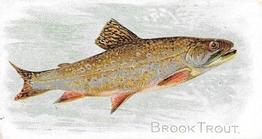 1889 Allen & Ginter 50 Fish from American Waters (N8) #NNO Brook Trout Front