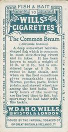 1910 Wills's Cigarettes Fish & Bait #10 Common Bream Back