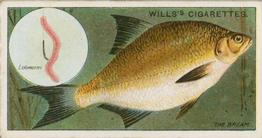 1910 Wills's Cigarettes Fish & Bait #10 Common Bream Front